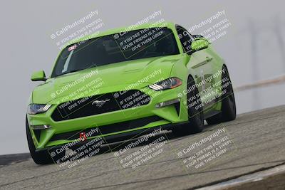 media/Nov-21-2025-Audi Club (Fri) [[8110d52e1e]]/Open Track Photos/3 Grapevine/